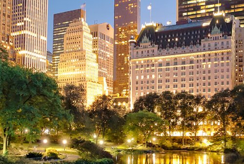 differentiation-banner-500x335